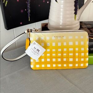 Coach Sunglow Ombre Wristlet